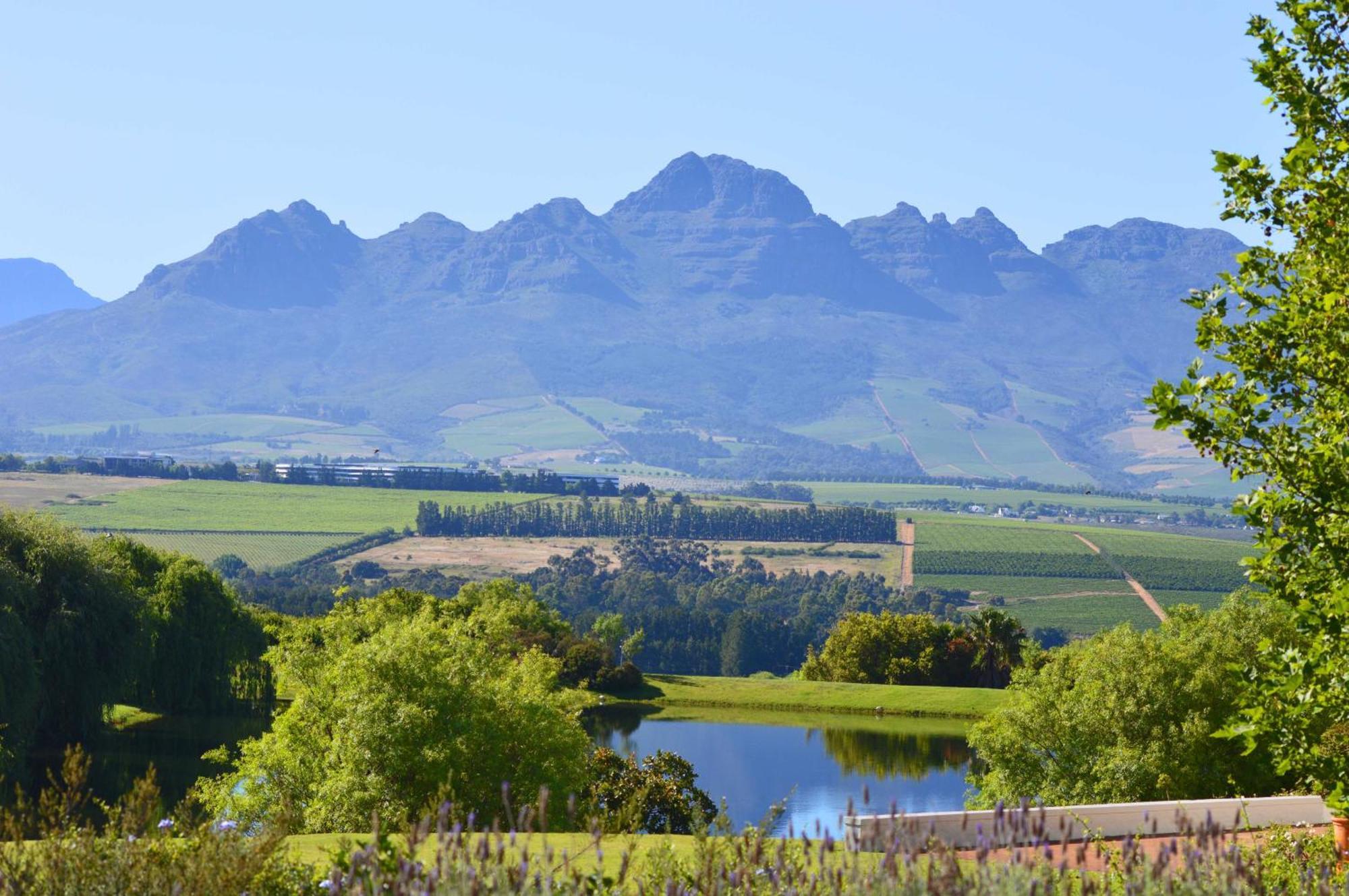 Asara Wine Estate & Hotel Stellenbosch Extérieur photo